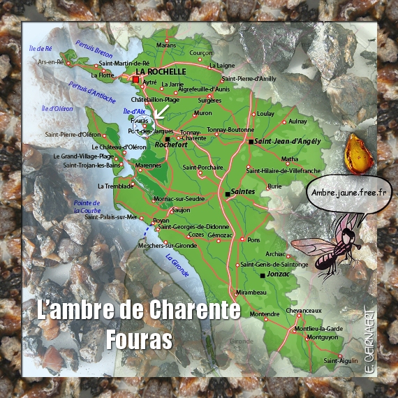 Ambre_Fouras_Charente.jpg