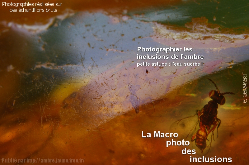 Technique_photo_surface_ambre_1.jpg