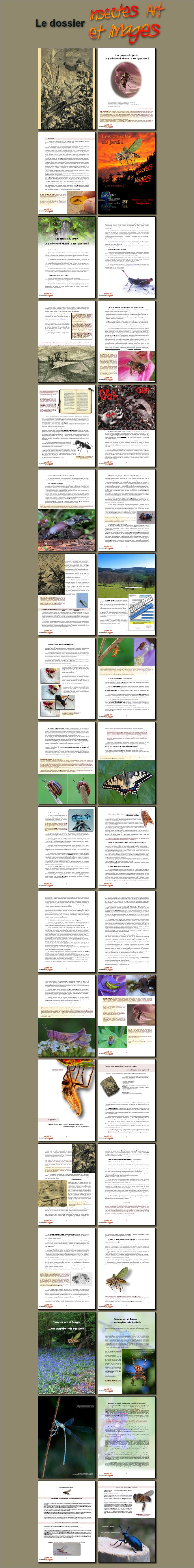 Un dossier exclusif sur
le nouveau cd-rom
INSECTES ART 
et IMAGES N°2 !